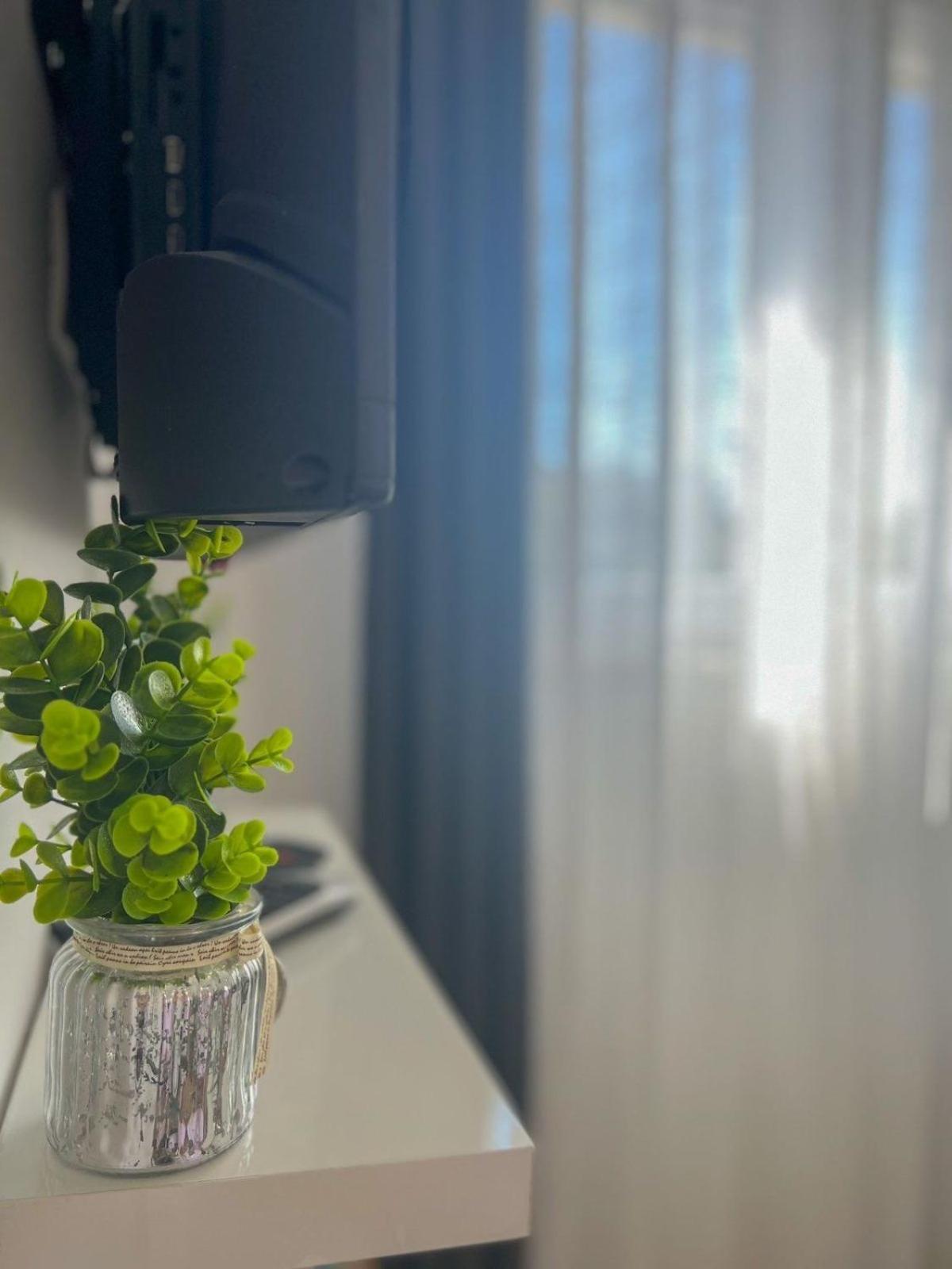 Apartman Ana, זאדאר מראה חיצוני תמונה